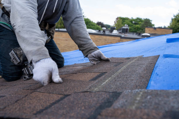Best Roof Gutter Cleaning  in Commercial Point, OH